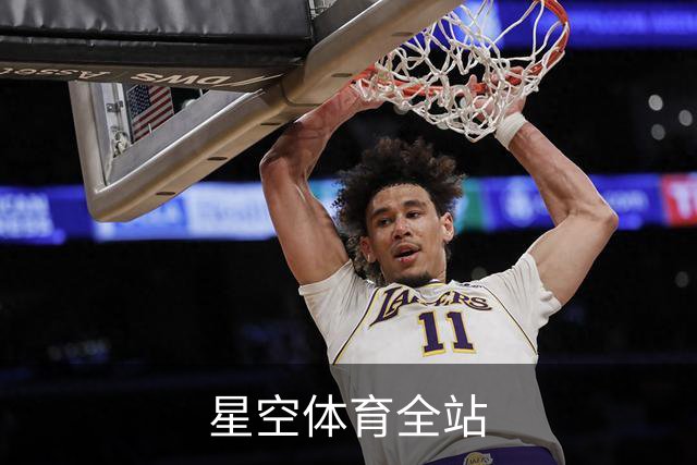 星空体育全站公司介绍图